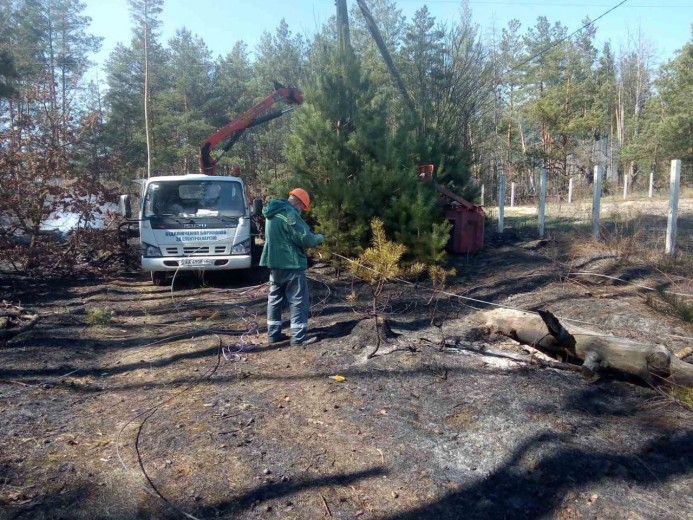 Енергетики Київобленерго б’ють на сполох — зафіксовано п’ять випадків пошкодження повітряних ліній через самовільний підпал сухостою поблизу енергооб’єктів