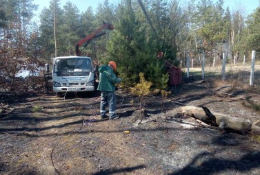 Енергетики Київобленерго б’ють на сполох — зафіксовано п’ять випадків пошкодження повітряних ліній через самовільний підпал сухостою поблизу енергооб’єктів