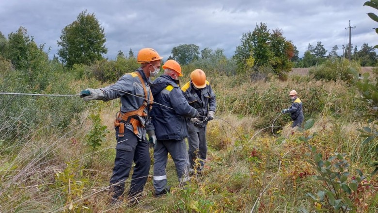 DTEK Kyiv Regional Grids specialists restored electricity in 220 settlements of the region de-energized due to poor weather