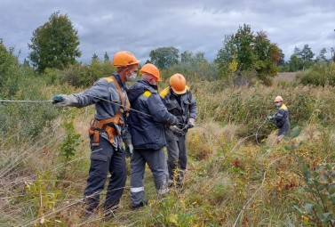 DTEK Kyiv Regional Grids specialists restored electricity in 220 settlements of the region de-energized due to poor weather