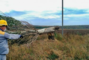 DTEK Donetsk Grids restored power supply to 23 settlements affected by poor weather within 24 hours