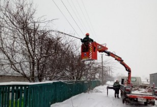 To prevent accidents, DTEK Kyiv Regional Power Grids has cleared more than 4,000 km of power grids from trees