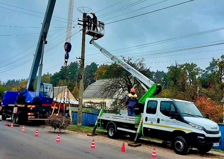 DTEK Kyiv Regional Grids saved around 200 white storks over the last year