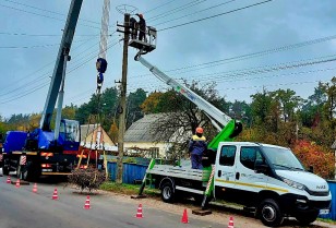 DTEK Kyiv Regional Grids saved around 200 white storks over the last year