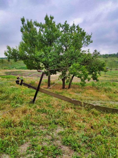 DTEK Donetsk Grids to restore power supply to 45 settlements over the day