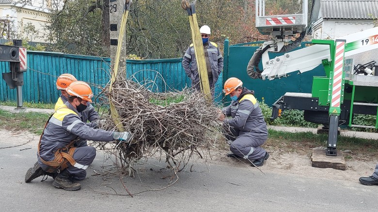 DTEK Kyiv Regional Grids to install 50 nesting platforms for storks across the region in 2021