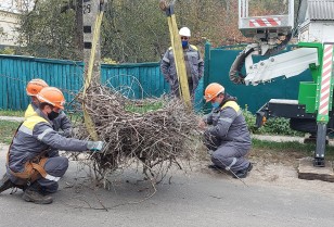 DTEK Kyiv Regional Grids to install 50 nesting platforms for storks across the region in 2021