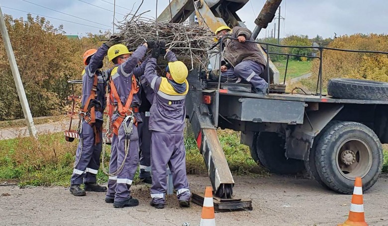 #EnergyWings: DTEK Donetsk Grids installed a stork nest platform in the village of Mayaki