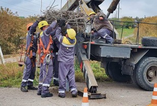 #EnergyWings: DTEK Donetsk Grids installed a stork nest platform in the village of Mayaki