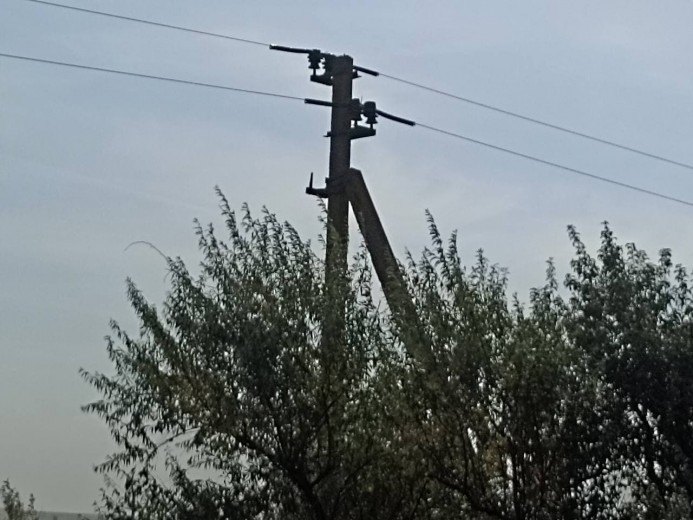 DTEK Odesa Grids to install casings on the lines to protect birds from electric shock