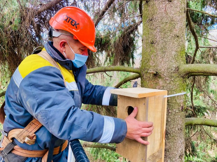 Rare Bird Conservation: DTEK Kyiv Regional Grids installed 30 artificial nests for long-eared owls and scoops