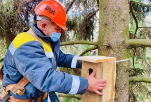 Rare Bird Conservation: DTEK Kyiv Regional Grids installed 30 artificial nests for long-eared owls and scoops