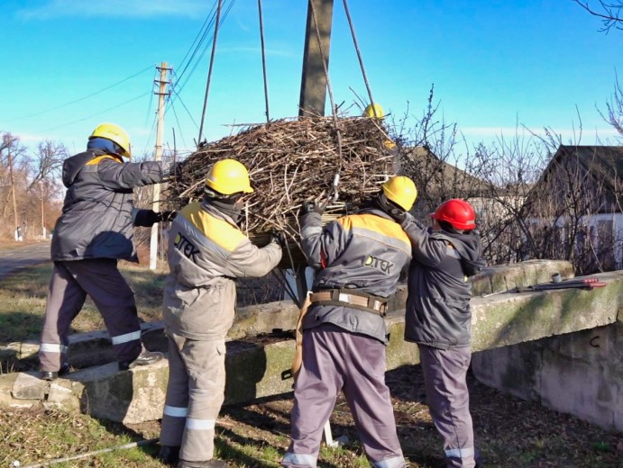 #EnergyWings: DTEK Donetsk Grids installed a protective nest platform for storks in the village of Vesele