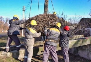 #EnergyWings: DTEK Donetsk Grids installed a protective nest platform for storks in the village of Vesele