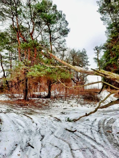 DTEK restores service to more than 350 settlements that lost power aftermath of bad weather that hit the Kyiv region