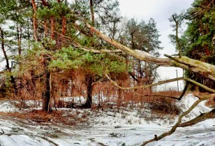 DTEK restores service to more than 350 settlements that lost power aftermath of bad weather that hit the Kyiv region