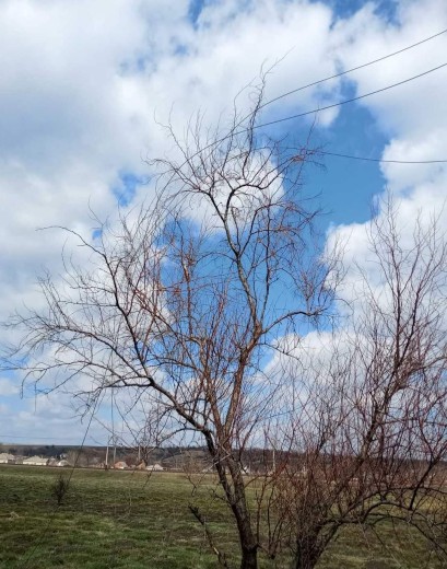 DTEK energy workers restored service to homes of over 1,300 families in the Donetsk region