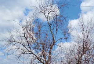 DTEK energy workers restored service to homes of over 1,300 families in the Donetsk region