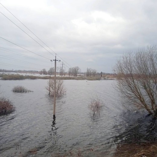 Electricity is back in 28 settlements in the Kyiv region, left without electricity due to hostilities: DTEK energy workers restored power