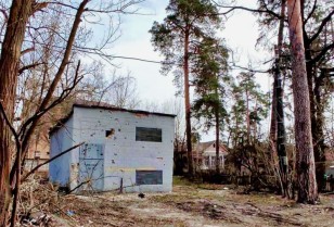 ДТЕК Київські електромережі повністю відновив електромережі столичної Пуща-Водиці