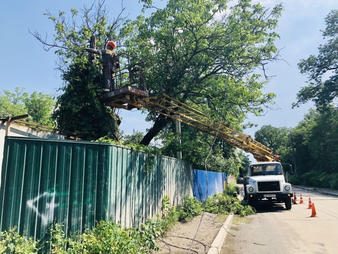 Щоб попередити аварії: в Києві до кінця року розчистять 100 кілометрів трас під електролініями