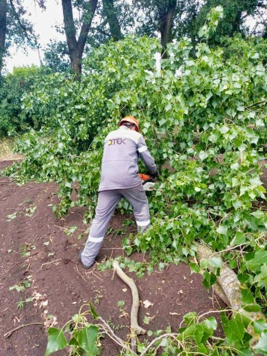 DTEK Kyiv Regional Grids emergency crews have switched to the high alert mode due to the storm