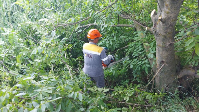 DTEK Kyiv Regional Grids will clear 400 km of power lines routes in July