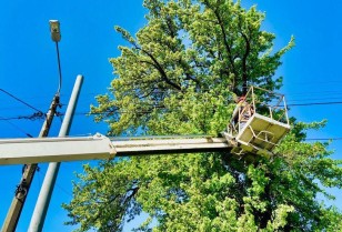 ДТЕК підвищив надійність до сезону холодів 90 кілометрів повітряних електричних ліній Києва