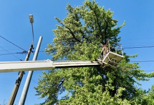 For electricity in winter: DTEK will clear 1,700 kilometers of overhead lines from shrubs in Odesa and Odesa region by the end of 2022