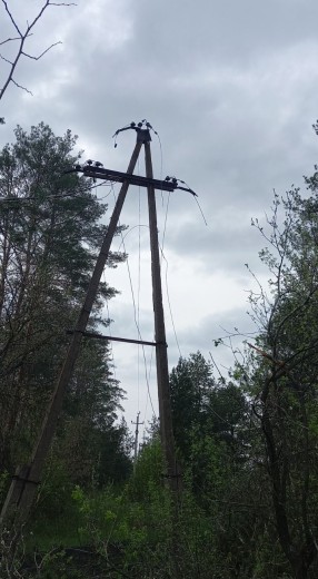 Попри обстріли ДТЕК Донецькі електромережі зміг відновити електропостачання понад 3 тисяч родин у 13 населених пунктах