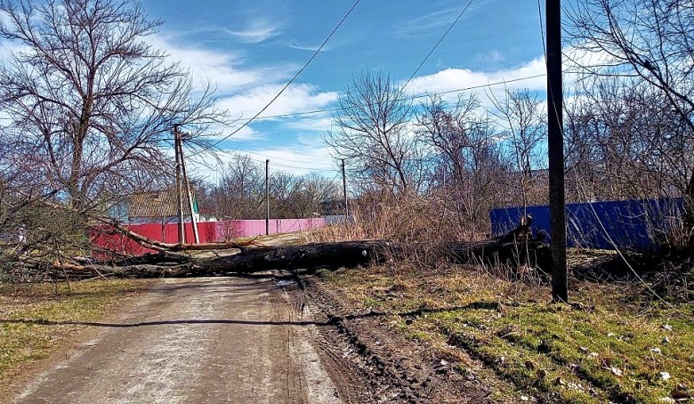 Storm in the Kyiv region: DTEK emergency crews have been transferred into high alert mode