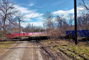 Storm in the Kyiv region: DTEK emergency crews have been transferred into high alert mode