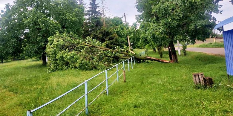 ДТЕК усунув наслідки негоди на Одещині та повернув світло для 26 тисяч клієнтів