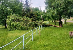 ДТЕК усунув наслідки негоди на Одещині та повернув світло для 26 тисяч клієнтів