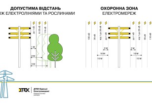 ДТЕК Одеські електромережі з початку року розчистив від гілок дерев тисячу кілометрів повітряних ліній електропередачі