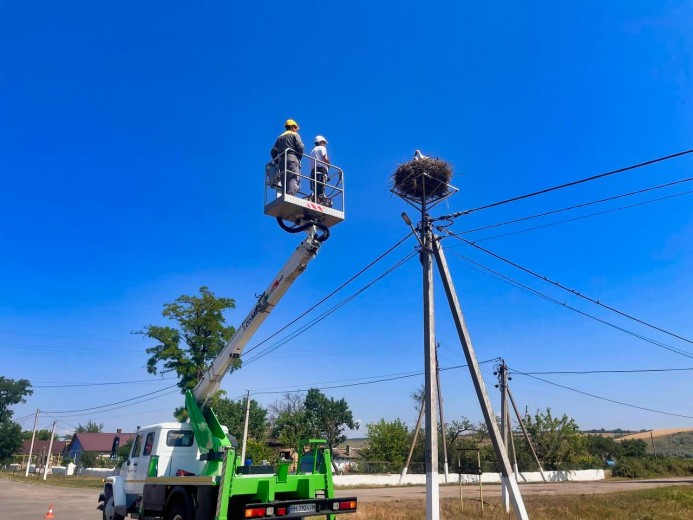 ДТЕК Одеські електромережі долучився до міжнародного проєкту щодо захисту білого лелеки