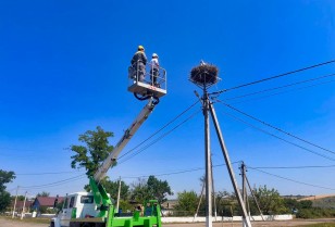 ДТЕК Одеські електромережі долучився до міжнародного проєкту щодо захисту білого лелеки