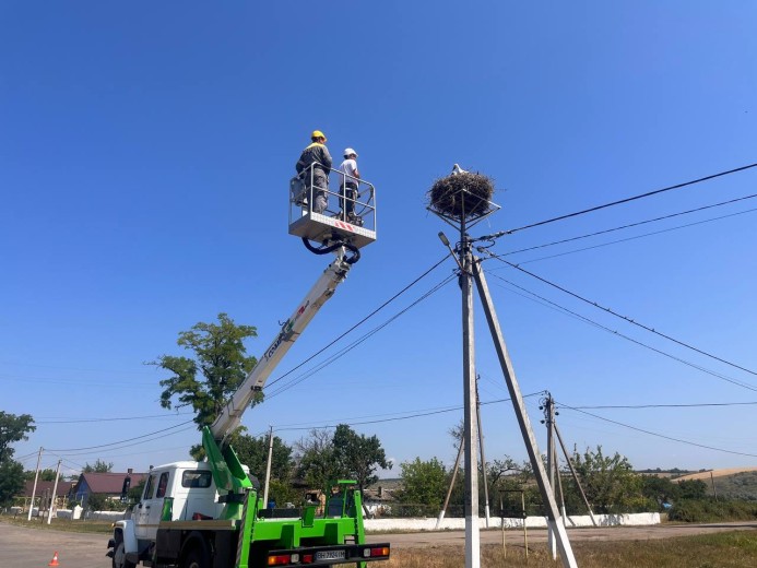 DTEK Grids joined an international project on the protection of the white stork