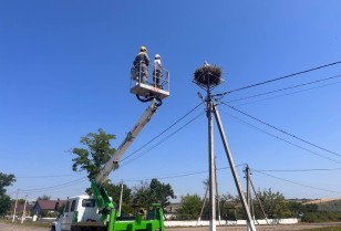 DTEK Grids joined an international project on the protection of the white stork