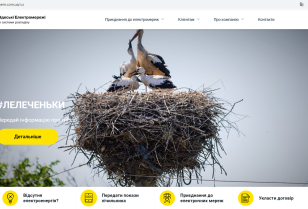 Inform about the nest – protect the storks: DTEK Odesa Grids launched a new feature on its website