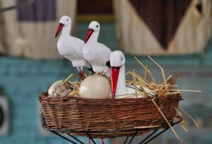 #EnergyWings: the first exposition in Ukraine on the protection of the white stork by DTEK energy workers opened in the “Time Machine” museum in Dnipro