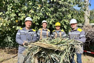 #EnergyWings: this autumn, DTEK Grids DSO will install over 70 protective platforms for stork nests on the poles in three regions and in the capital