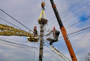 #EnergyWings: DTEK Grids energy workers will reinforce over 70 stork nests on the poles in order to prevent power outages for customers and protect the birds