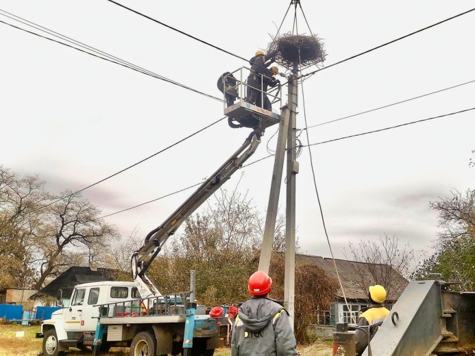 #EnergyWings: DTEK energy workers in the Dnipropetrovsk region will reinforce 5 stork nests on the poles in order to prevent power outages and protect the birds