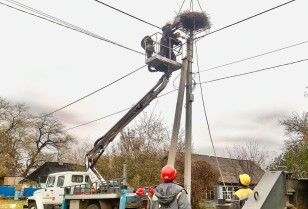 #EnergyWings: DTEK energy workers in the Dnipropetrovsk region will reinforce 5 stork nests on the poles in order to prevent power outages and protect the birds