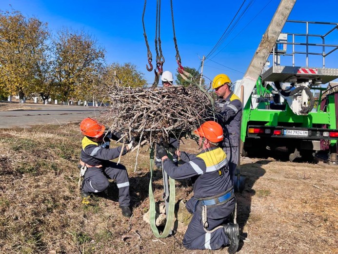 #EnergyWings: by the end of 2023, energy workers in the Odesa region will reinforce 36 stork nests on the poles in order to prevent power outages for customers and protect the birds