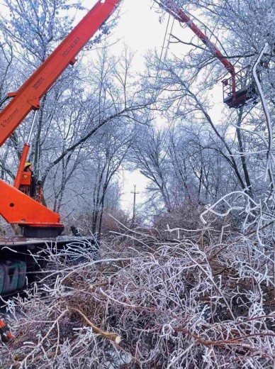 Eliminating the aftermath of cyclone in the Dnipropetrovsk region: DTEK energy workers are eliminating power outages in the region