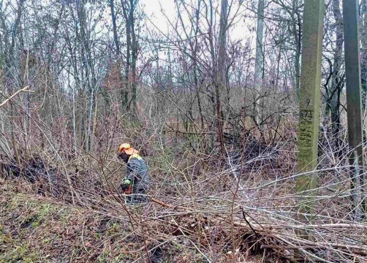 DTEK Dnipro Grids continues to eliminate power outages, caused by bad weather