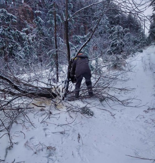 DTEK Donetsk Grids continues restorations after bad weather: electricity has been restored to homes of 43,000 families