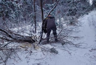 DTEK Donetsk Grids continues restorations after bad weather: electricity has been restored to homes of 43,000 families